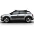 C4 Cactus