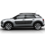 C4 Cactus